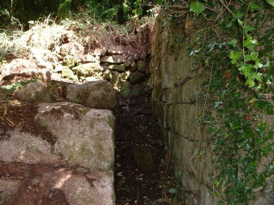 Trelubbas lower stamps wheal pit