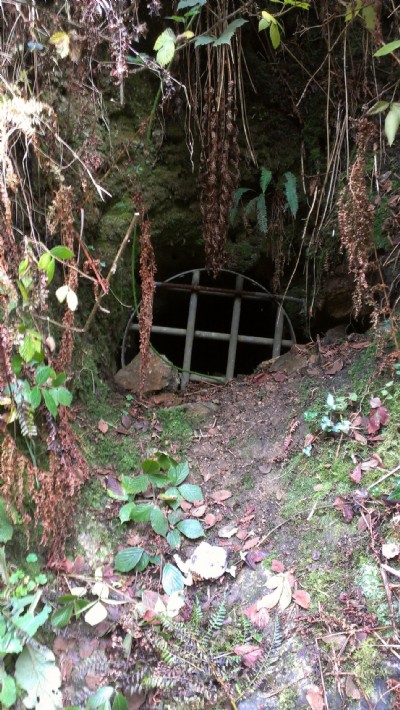 Photographs Of Tresavean