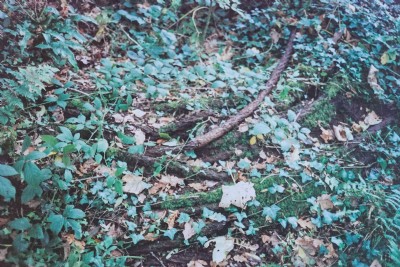 Remains of winding cable, top of Carmears incline