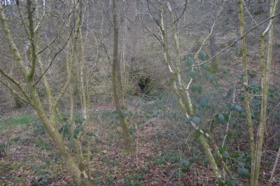 The second level