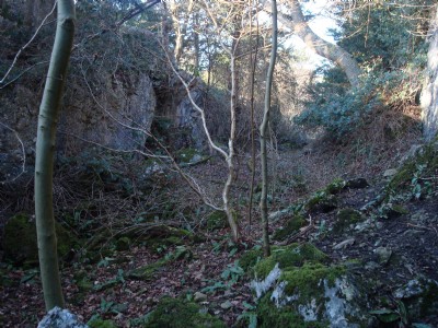 Photographs Of Trowbarrow (Photo ref 12337)