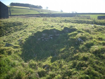 Possible stone lined buddle