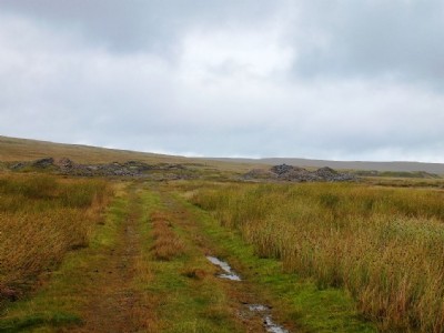 Photographs Of Turf Pits
