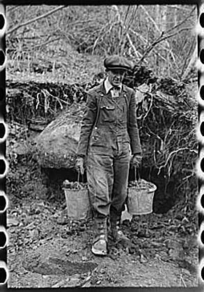 Historic Photographs Of Two Bit Creek