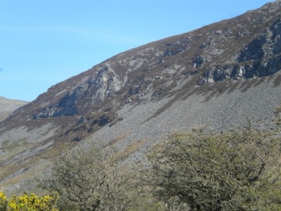 Granite quarries