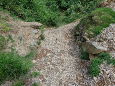 Photographs Of Tyddyn Briddell