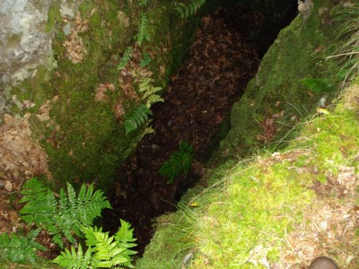 Photographs Of Tyllwyd