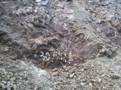 Rock face