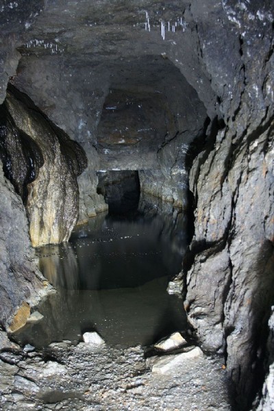 Photographs Of Tynebottom