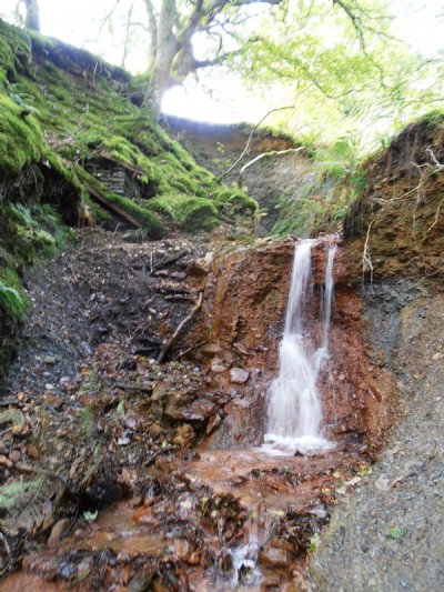 Photographs Of Tynyfron