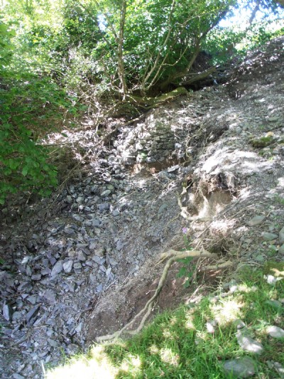 Photographs Of Tynypwll