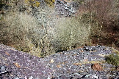 Photographs Of Tynyweirglodd (Photo ref 49955)