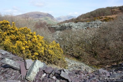 Photographs Of Tynyweirglodd (Photo ref 49961)