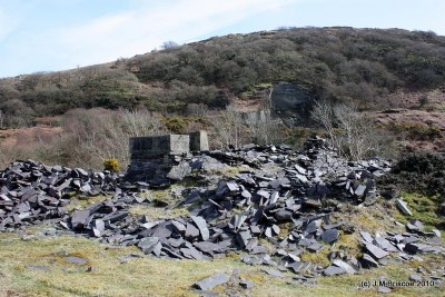 Photographs Of Tynyweirglodd (Photo ref 49962)