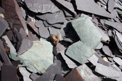 Photographs Of Tynyweirglodd