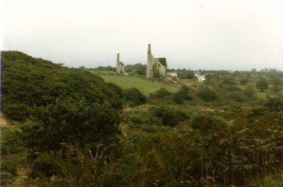 Wheal Unity Wood
