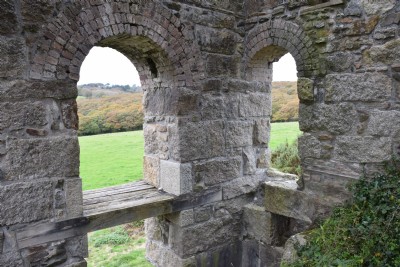 Wheal Unity Wood