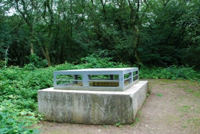 Unknown shaft 25/07/09