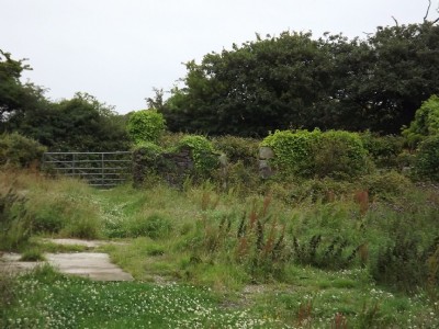Winding Shaft Area?