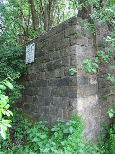 Union Pit heapstead