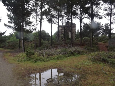 Garlands Shaft (Gwennap United)