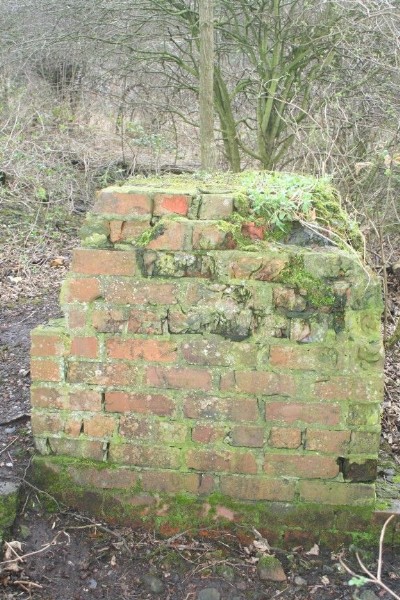 Waddle Fan House