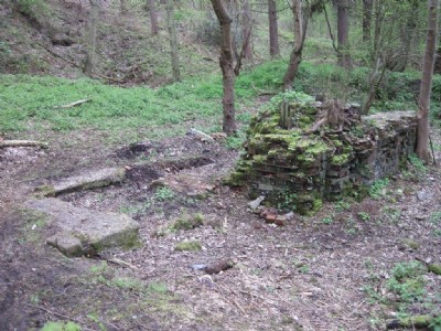 Waddle Fan House
