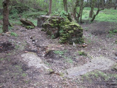 Waddle Fan House