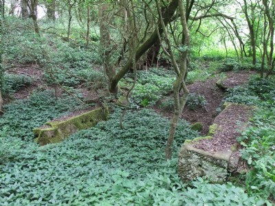 Photographs Of Upper Birchwood Colliery (Photo ref 51833)