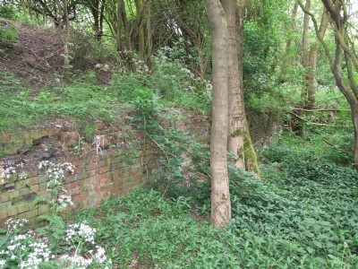 Photographs Of Upper Birchwood Colliery (Photo ref 51835)