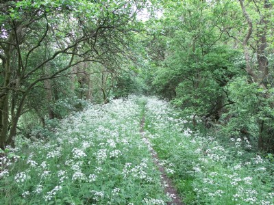 Photographs Of Upper Birchwood Colliery (Photo ref 51837)