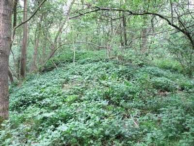 Photographs Of Upper Birchwood Colliery