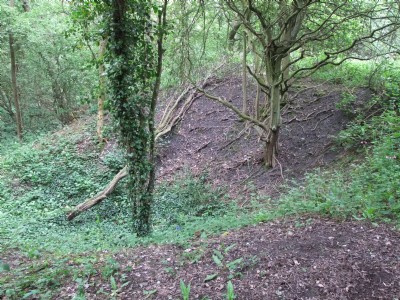 Photographs Of Upper Birchwood Colliery (Photo ref 51851)