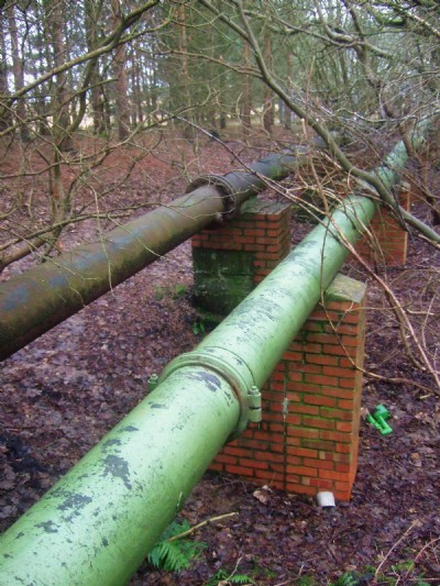Ushaw Moor