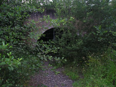 Photographs Of Van
