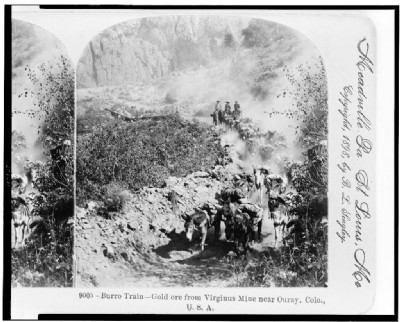 A burro train bringing gold from the mines near Ouray