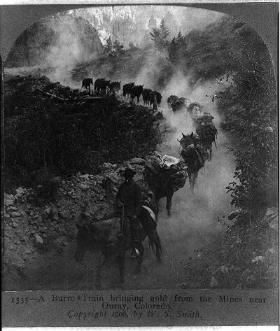 Historic Photographs Of Virginus