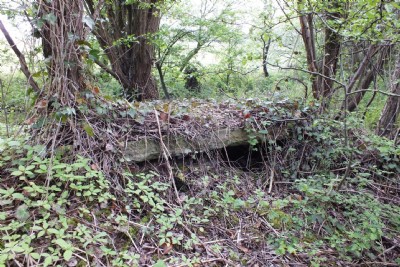 Visit To Gidlow Pits (Photo ref 86604)