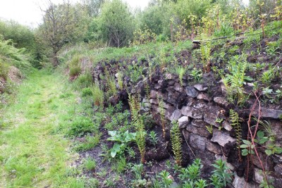 Visit To Gidlow Pits (Photo ref 86611)