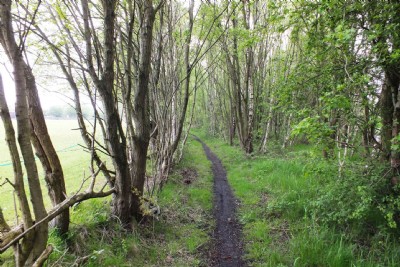 Visit To Gidlow Pits (Photo ref 86614)