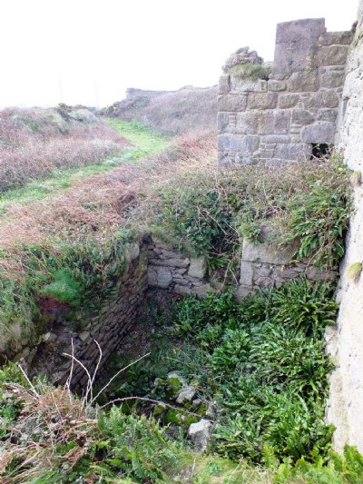 Visit To Levant Higher Bal (Photo ref 75111)