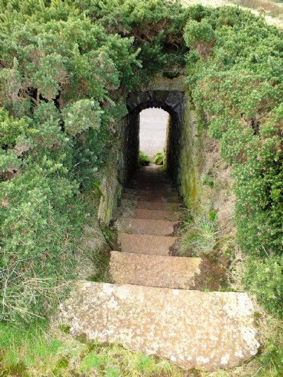 Visit To Levant Higher Bal (Photo ref 75127)
