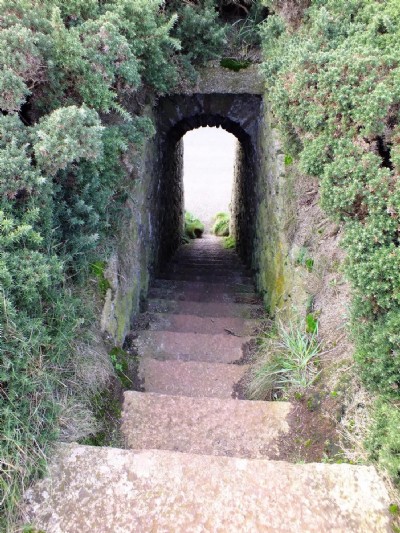 Visit To Levant Higher Bal (Photo ref 75128)