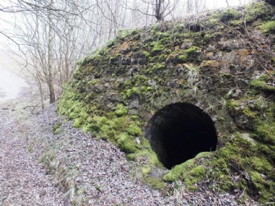 Visit To Minera Limeworks, Kilns And Quarry (Photo ref 73316)