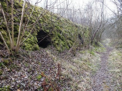 Visit To Minera Limeworks, Kilns And Quarry (Photo ref 73318)