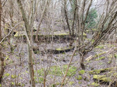 Visit To Minera Limeworks, Kilns And Quarry (Photo ref 73329)