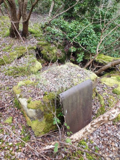 Visit To Minera Limeworks, Kilns And Quarry (Photo ref 73337)