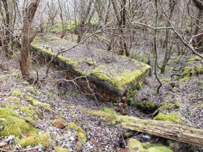 Visit To Minera Limeworks, Kilns And Quarry (Photo ref 73342)