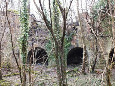 Visit To Minera Limeworks, Kilns And Quarry (Photo ref 73369)