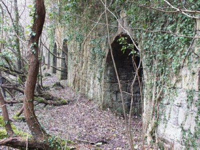 Visit To Minera Limeworks, Kilns And Quarry (Photo ref 73372)